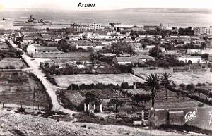 Arzew 304